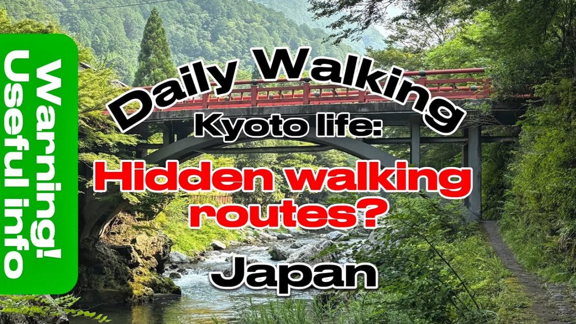 Hidden walking route : river & villages - avoid the tourists #japan #kyoto #travel :daily #walking