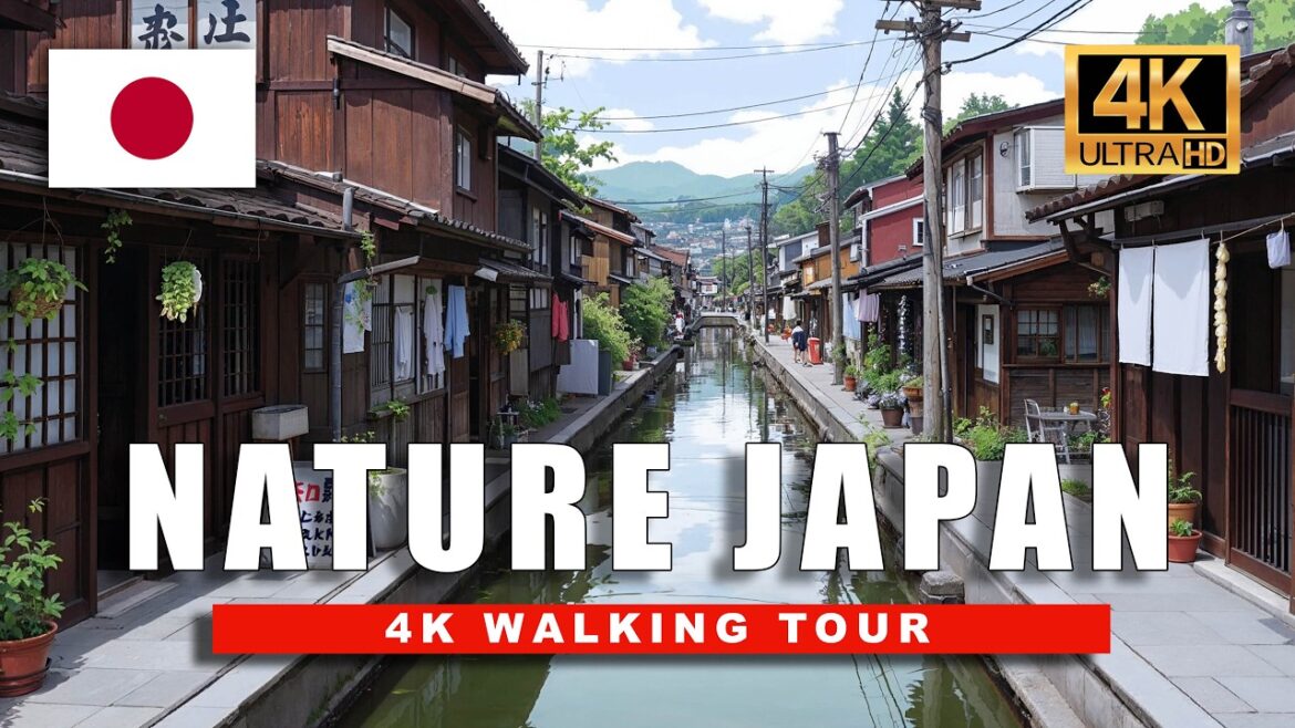 4K Rural Japan Walk | Hidden Samurai Trail, Through Misty Forests & Ancient Villages 4K Rural Japan Walk | Hidden Samurai Trail, Through Misty Forests & Ancient Villages