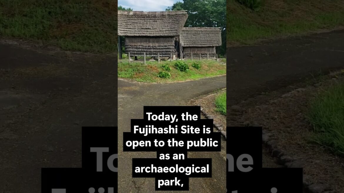 A Tranquil Walk Through the Fujihashi Site: Discovering Japan's Ancient Jomon Culture