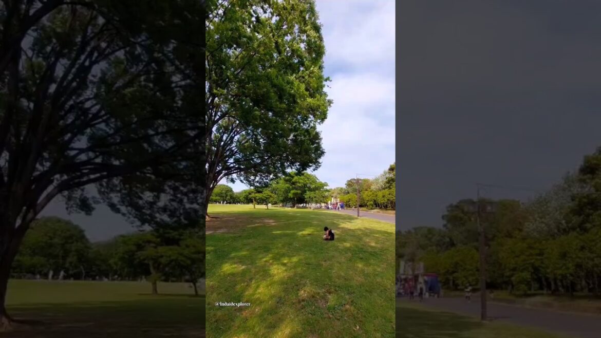 Shonai Ryukuchi Park Nagoya #shorts #short #shortsvideo