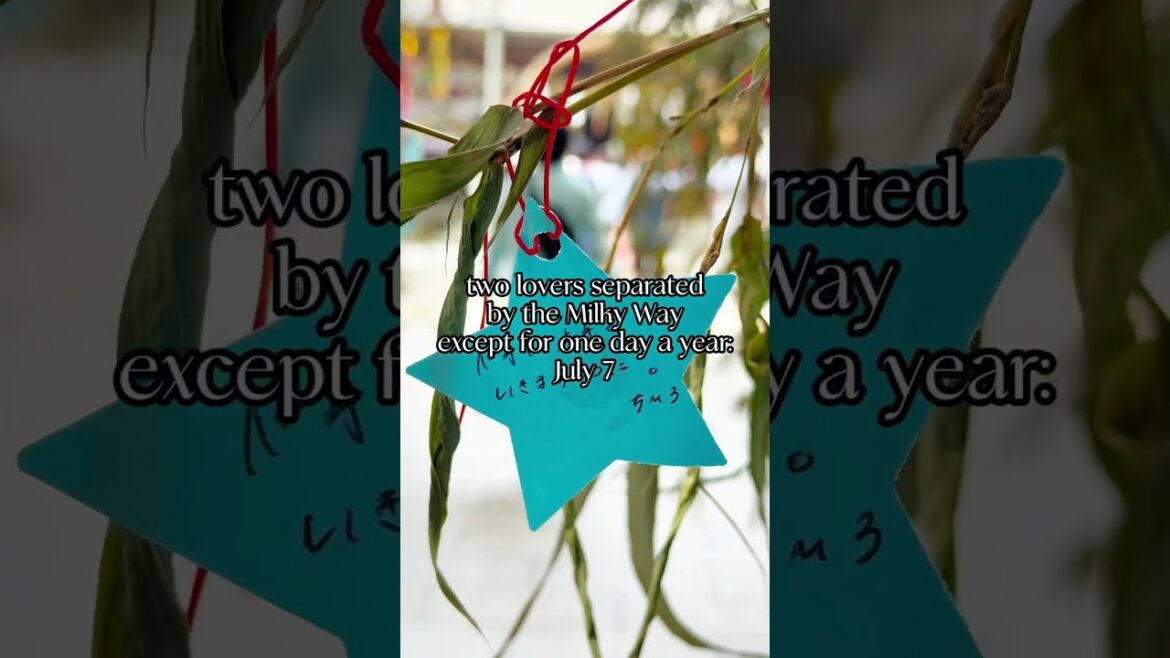 Do you wish upon a star? 🌟 then you can’t miss Japan’s star festival: Tanabata #starfestival #japan Do you wish upon a star? 🌟 then you can’t miss Japan’s star festival: Tanabata #starfestival #japan