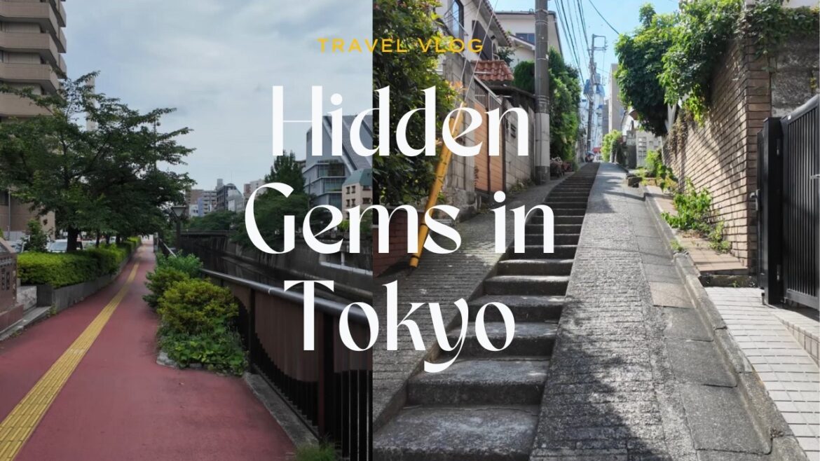The Calm Side of Tokyo You Never Knew – Nakameguro Hidden Gems The Calm Side of Tokyo You Never Knew – Nakameguro Hidden Gems