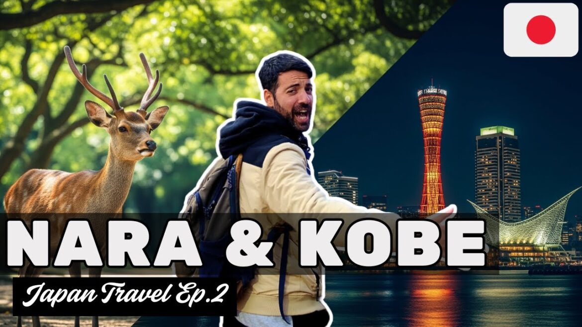 From NARA to KOBE | What To Do In 2 Days!!! (Japan Vlog Ep.2) From NARA to KOBE | What To Do In 2 Days!!! (Japan Vlog Ep.2)