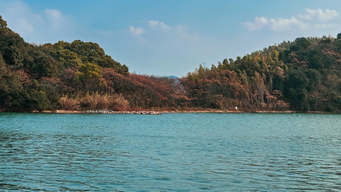 岡山県倉敷市ライブカメラ Okayama Kurashiki Live Camera.world.cam 岡山県倉敷市ライブカメラ Okayama Kurashiki Live Camera.world.cam