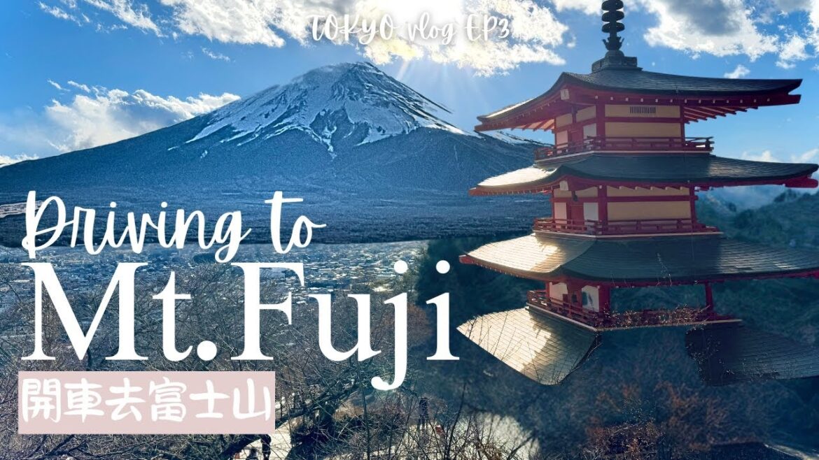 東京出發開著Jimny自駕體驗🚗一路直奔富士山下! 東京出發開著Jimny自駕體驗🚗一路直奔富士山下!