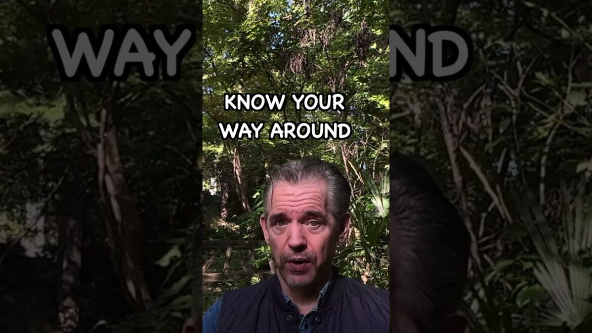 Jobs in Japan: tour guide