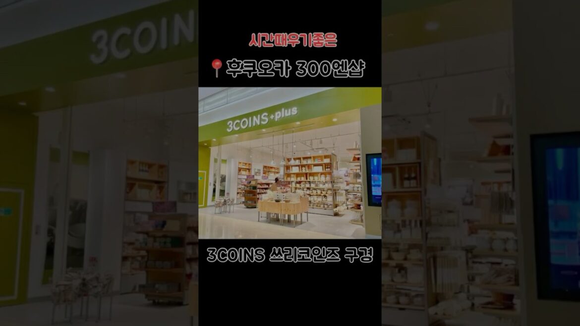 🪙시간때우기좋은 후쿠오카300엔샵|후쿠오카일상|후쿠오카브이로그|후쿠오카여행|쓰리코인즈|후쿠오카쇼핑