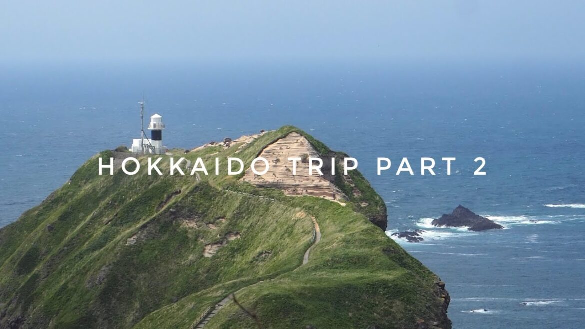 hokkaido travel vlog | part 2 driving to otaru & shakotan, sapporo, mount moiwa, seafood & bakeries