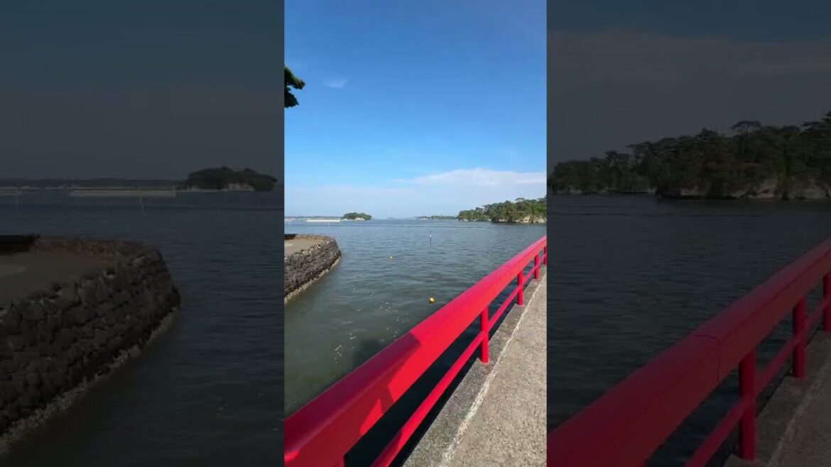 Matsushima Bay Sendai🇯🇵🚢⛴️⛩️🌳#travel #japan #bayarea #explorepage #sendai