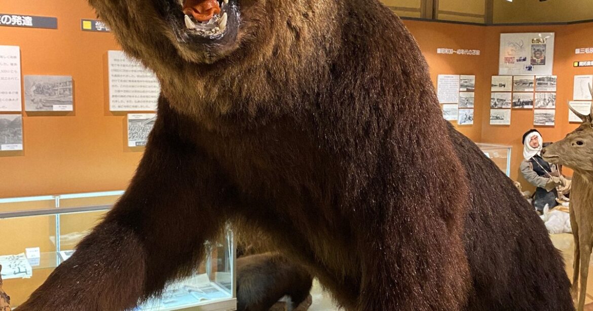 Hunter missing on Hokkaido mountain after brown bear sighting nearby Hunter missing on Hokkaido mountain after brown bear sighting nearby