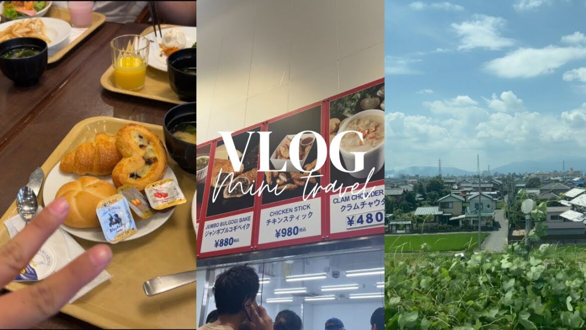 Quick Shizuoka Trip ✨ Countryside Views, Hotel Stay & Costco Run