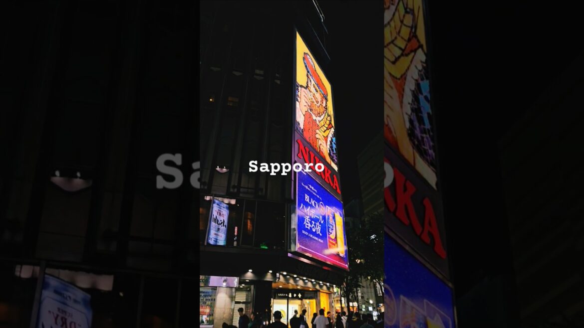 ファーム富田 #farmtomita #팜토미타 #삿포로 #sapporo #tour #일본 #라벤더 #lavender #travel #여행 #관광 #healing #힐링 #꽃