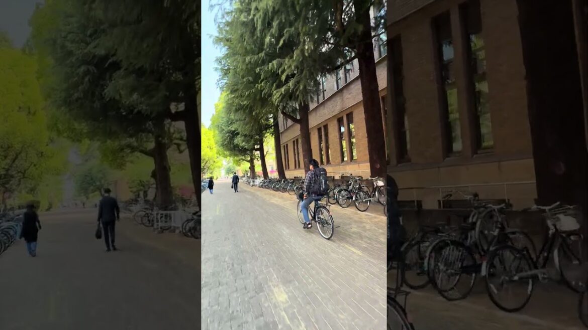 Travelling and Cycling at Kyoto University Japan (京都大学での旅行とサイクリング)