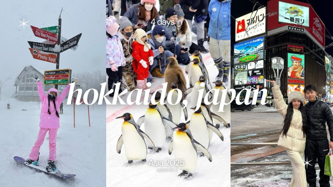 4 days in hokkaido | mt. teine, sapporo, otaru, asahiyama, biei, furano | asia 2025 vlog series 4 days in hokkaido | mt. teine, sapporo, otaru, asahiyama, biei, furano | asia 2025 vlog series
