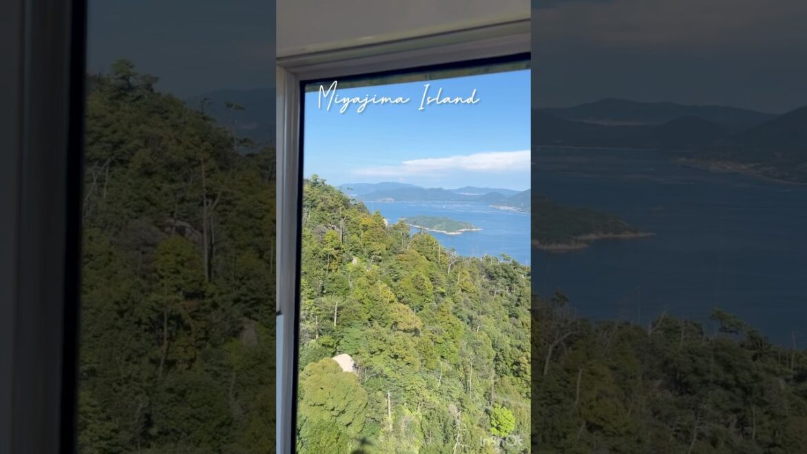 Japan’s Most Scenic Ropeway? Miyajima Cable Car to Mt. Misen Viewpoint #shorts #trending #ytshorts