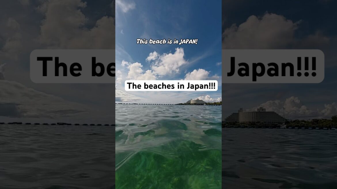 Japan has the best beaches! #travelvloggers #travel #japan #okinawa #onnavillage #bestsea