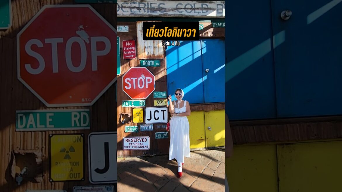 แจกแพลนเที่ยว Okinawa 5 วัน Road Trip ทั่วเกาะ เช็คอินครบทุกจุดไฮไลท์ #okinawa #japan #travel