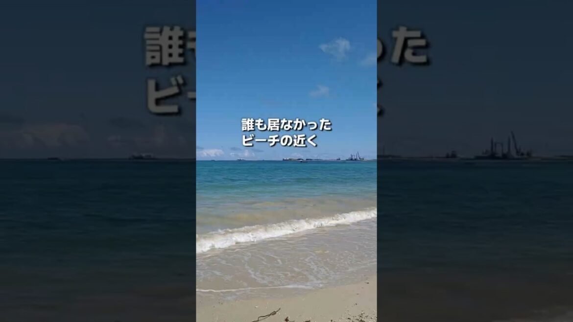 【沖縄県名護市】海まで５秒の場所にあるおすすめグルメ！KANGENKITCHEN#沖縄#沖縄旅行#KANGENKITCEN#okinawa#名護#沖縄北部