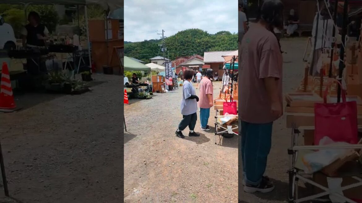 Fujieda, Shizuoka, Japan