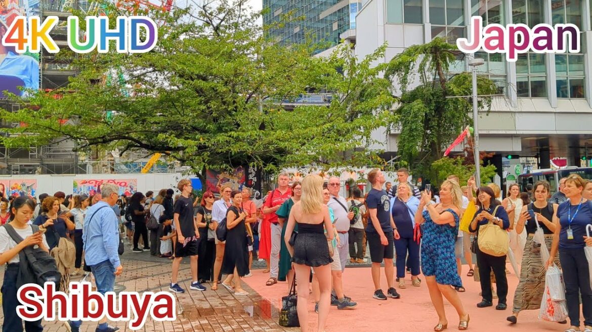 [4K] Huge foreigners. Shibuya Evening Walking Tour. #summer #tokyo #japan