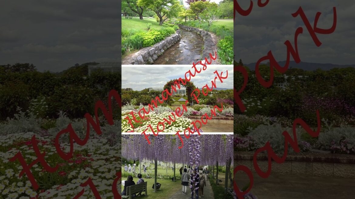 Hamamatsu Flower Park, Japan: An Underrated Garden