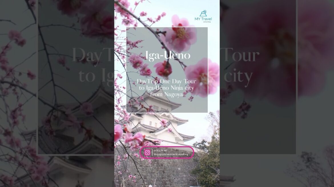 ☆DayTrip☆One Day Tour to Iga-Ueno Ninja city from Nagoya ☆DayTrip☆One Day Tour to Iga-Ueno Ninja city from Nagoya