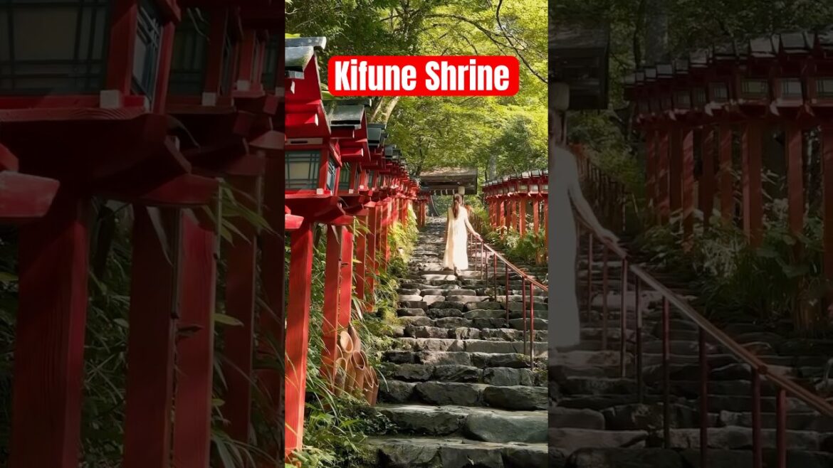 This is Kifune Shrine ⛩️ in Kyoto #travel #japantravel #kyoto
