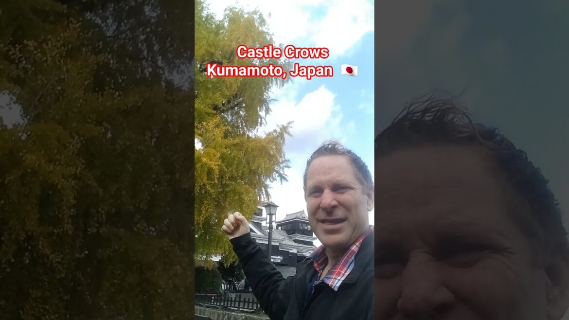 🇯🇵  KUMAMOTO CASTLE LANDSCAPING Kumamoto Japan  #kumamoto #japanesecastle #japantourism #japantravel