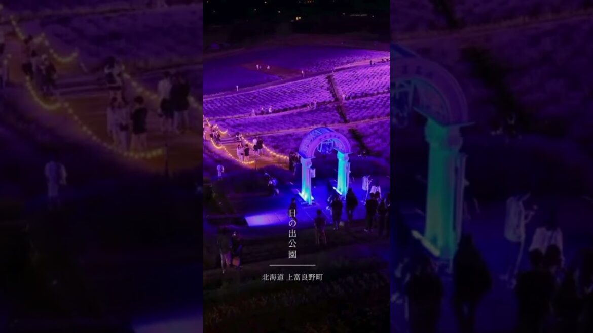 🌟 Magical Night at Hinode Park Light-Up! ✨ Don’t Miss This! #HinodePark 🌟 Magical Night at Hinode Park Light-Up! ✨ Don’t Miss This! #HinodePark