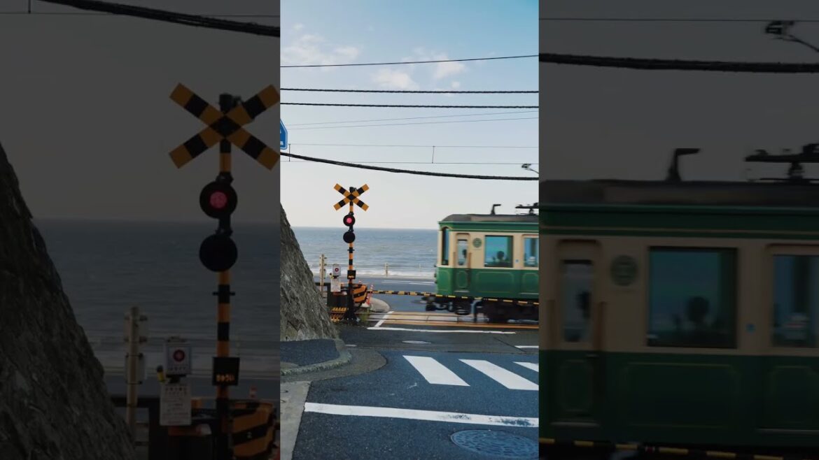 Which prefecture would you like to visit?๐ฏ๐ต Which prefecture would you like to visit?๐ฏ๐ต