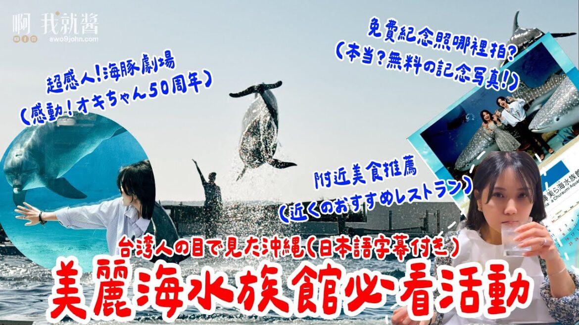 沖縄美ら海水族館 沖繩景點推薦 美麗海水族館攻略 門票 表演時間 停留時間 附近美食 鯨鯊餵食 燒肉本部牧場 okinawa MAPCODE 海洋博公園 | 啊我就醬 awo9john 沖縄美ら海水族館 沖繩景點推薦 美麗海水族館攻略 門票 表演時間 停留時間 附近美食 鯨鯊餵食 燒肉本部牧場 okinawa MAPCODE 海洋博公園 | 啊我就醬 awo9john