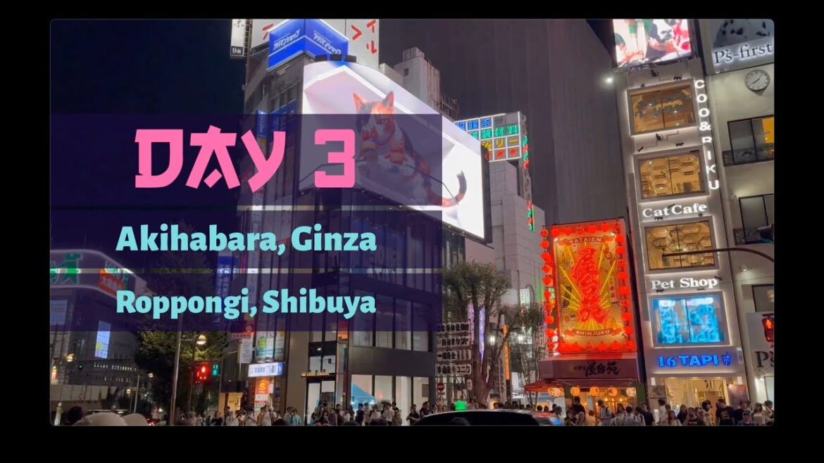 Day 3 in Japan Exploring Tokyo Day 3 in Japan Exploring Tokyo