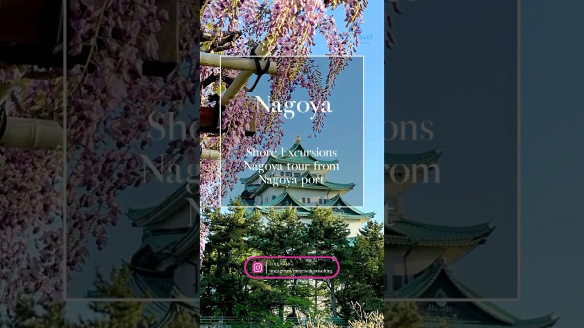 【Nagoya】★Shore Excursions in Japan★Nagoya tour from Nagoya port