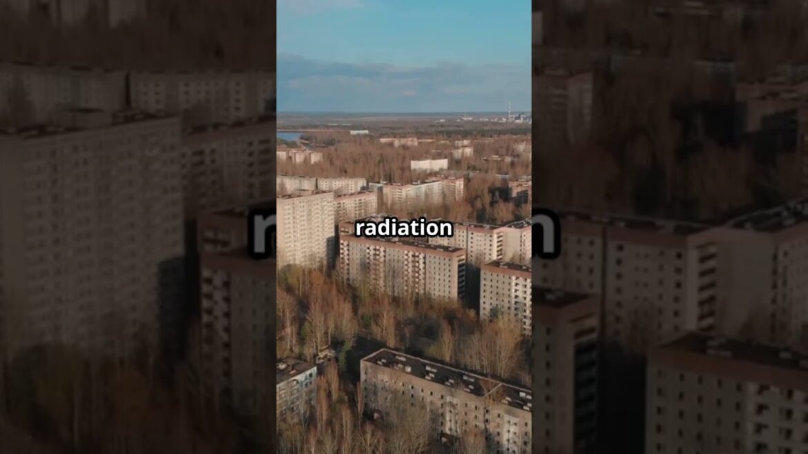 "Fukushima’s Deadly Secret: Why No One Can Return"