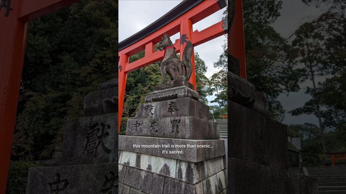 Fushimi Inari: Kyoto’s Shrine of 10,000 Gates #FushimiInari#InariTaisha#VisitKyoto#JapanTravel
