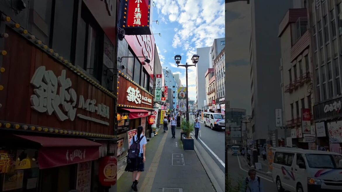 Walking around Niigata 🇯🇵 station July 17th 2025