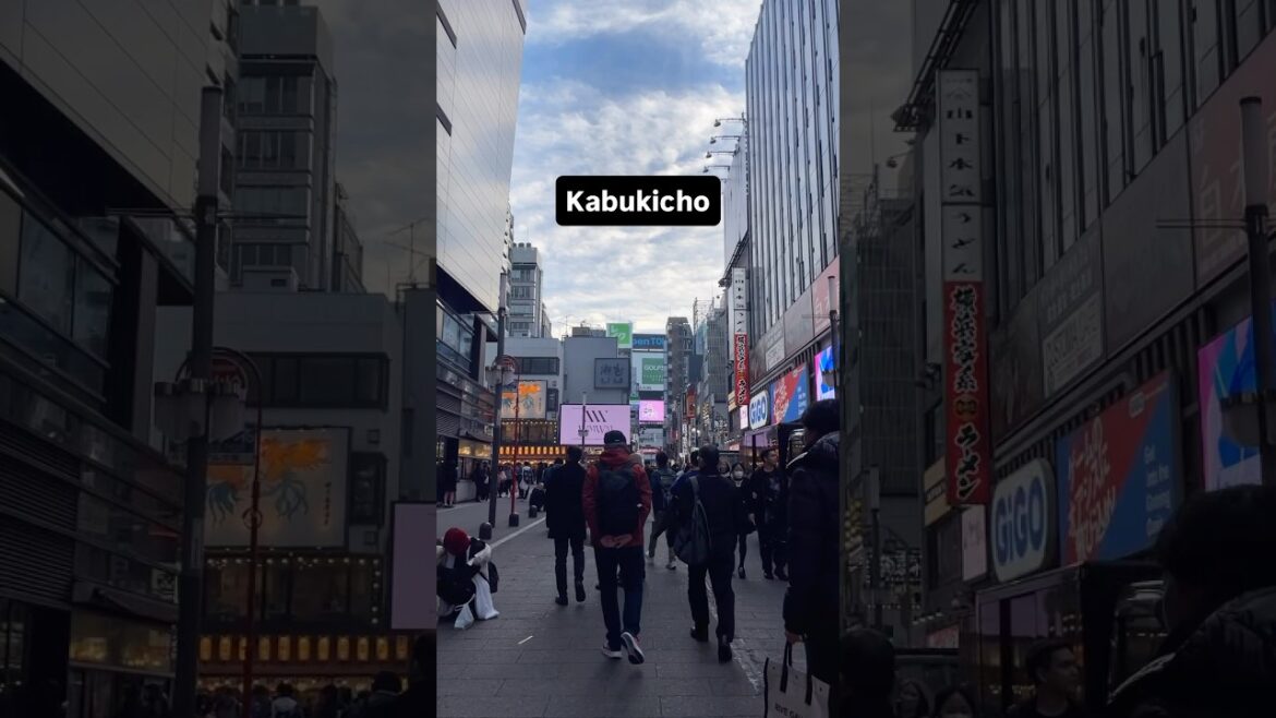 Kabukicho #marinjapan #japantravel #travel #japan #explore #kabukicho #explorepage #tokyo #shinjuku