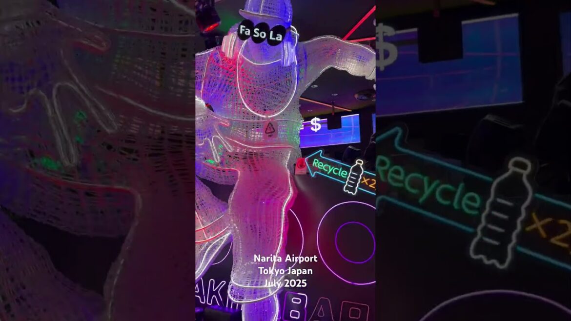 Narita Airport Japan