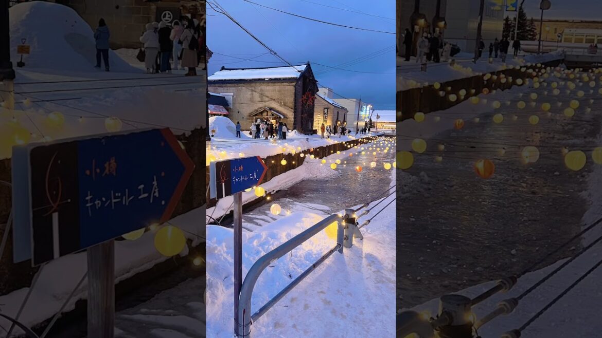 Snowy night in Otaru❄️ #hokkaido #japan #views #dailyvlog #youtubeshorts #otaru #trip #vlog