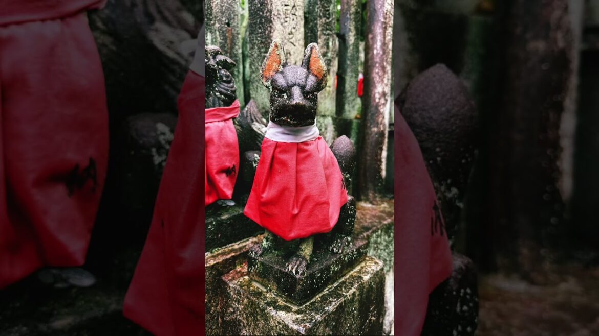 #shortvideo #stangstory #japan #culture #travel #kyoto #trip #shrine #japanculture #japantravel