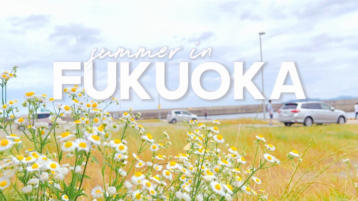 ✨Summer in Fukuoka + Kyushu | Cat Island, Shrines, Mount Aso, Takachiho Gorge 🇯🇵🌿 ✨Summer in Fukuoka + Kyushu | Cat Island, Shrines, Mount Aso, Takachiho Gorge 🇯🇵🌿
