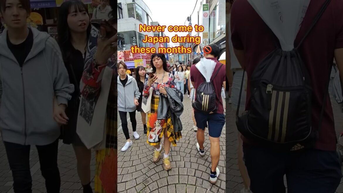 DO NOT come to JAPAN this months ❌ #japan #tokyo #travel #shorts DO NOT come to JAPAN this months ❌ #japan #tokyo #travel #shorts