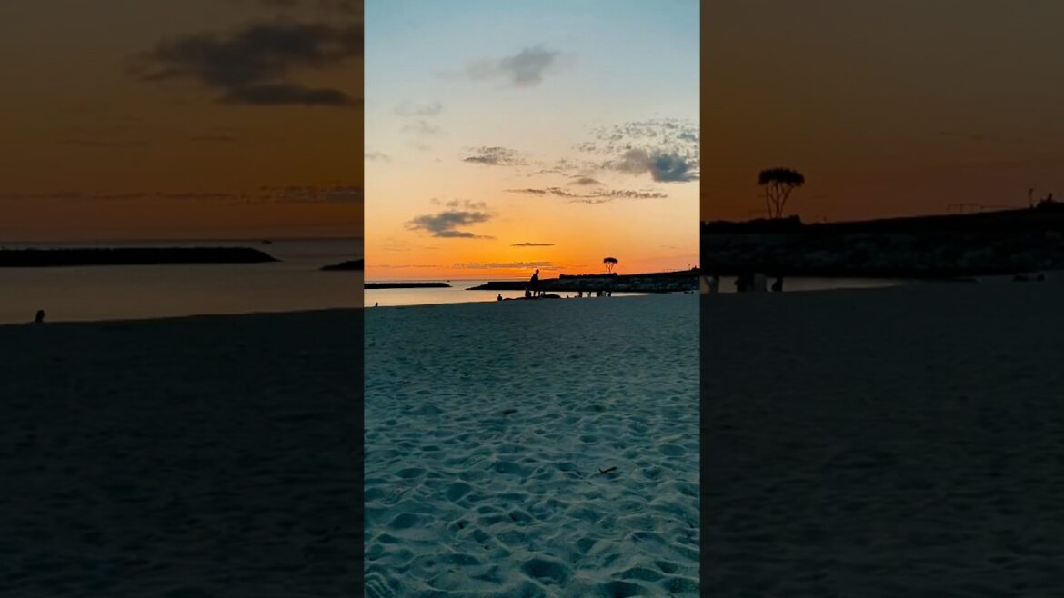 Okinawa Highlights – Japan’s Tropical Paradise in 4K #shorts #japan #travel Okinawa Highlights – Japan’s Tropical Paradise in 4K #shorts #japan #travel