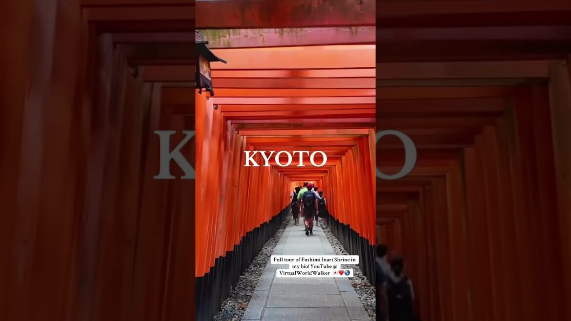 What’s your favourite spot in Japan? ❤️😊🇯🇵 #kyoto #japan #kyototrip #daytrip #fushimiinarishrine