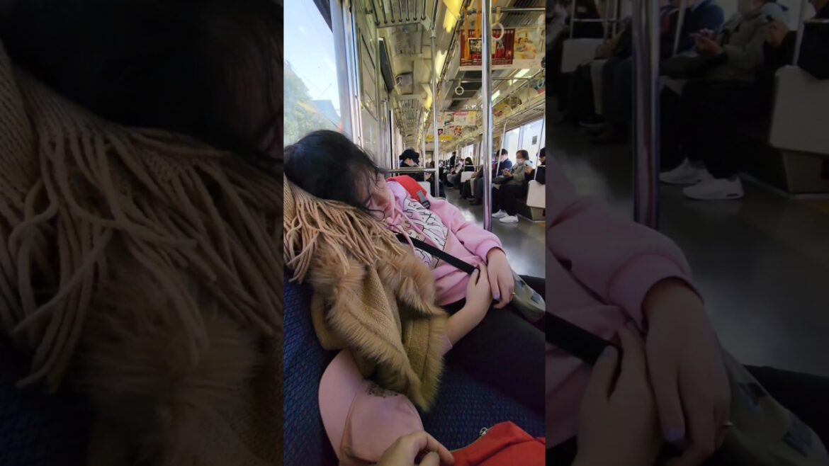 Life is a Journey #japan #travel