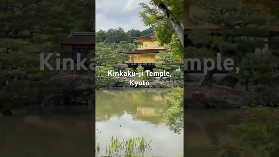 Ep: 22 Kinkaku-ji Temple & Nijo Castle Tour | Kyoto’s Iconic Landmarks | UNESCO heritage sites.