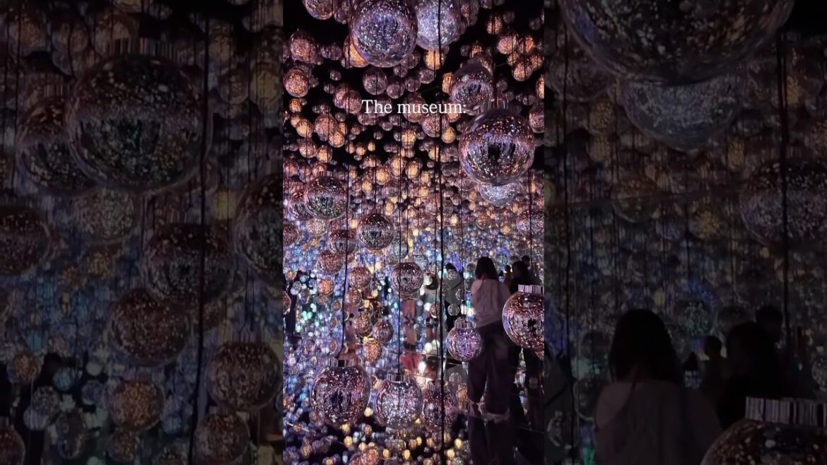 Teamlab Borderless Japan 🪩#japan #travel #teamlabborderless #tokyo #travelvlog #japantravel #couple