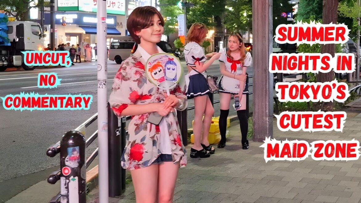 Tokyo’s Maid Streets Hide Secrets on Summer Nights