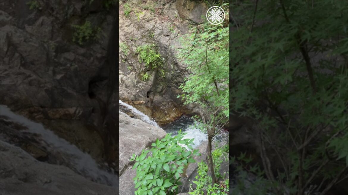 Hidden Waterfall in Kobe π | Nunobiki Falls Japan #kobe #japantravel #kobetourism Hidden Waterfall in Kobe π | Nunobiki Falls Japan #kobe #japantravel #kobetourism