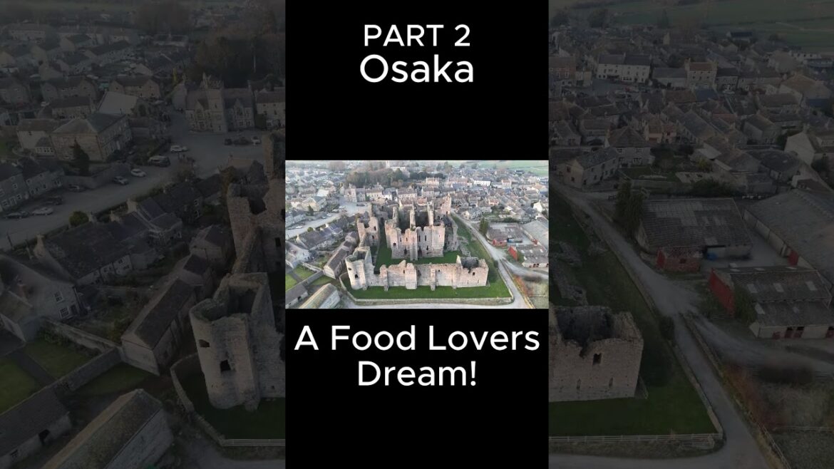 Must-Visit Places in Japan! 🇯🇵🗻 Osaka’s & Nara Travel Guide Must-Visit Places in Japan! 🇯🇵🗻 Osaka’s & Nara Travel Guide